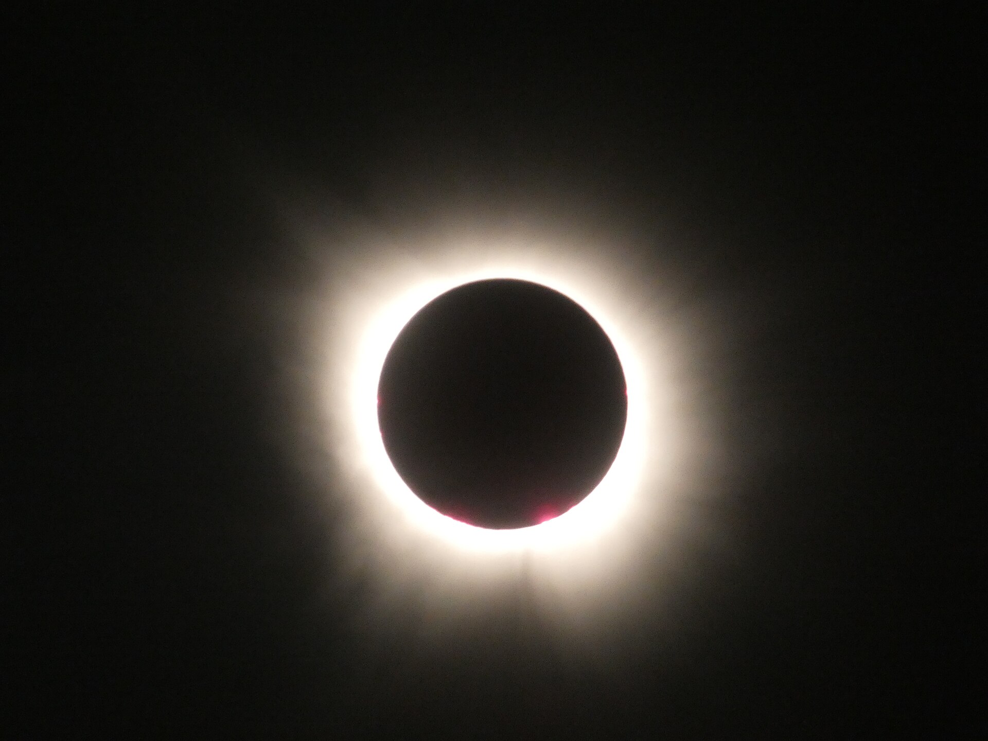 Totalidade do eclipse solar de 2024, com a coroa e proeminências rosadas do Sol